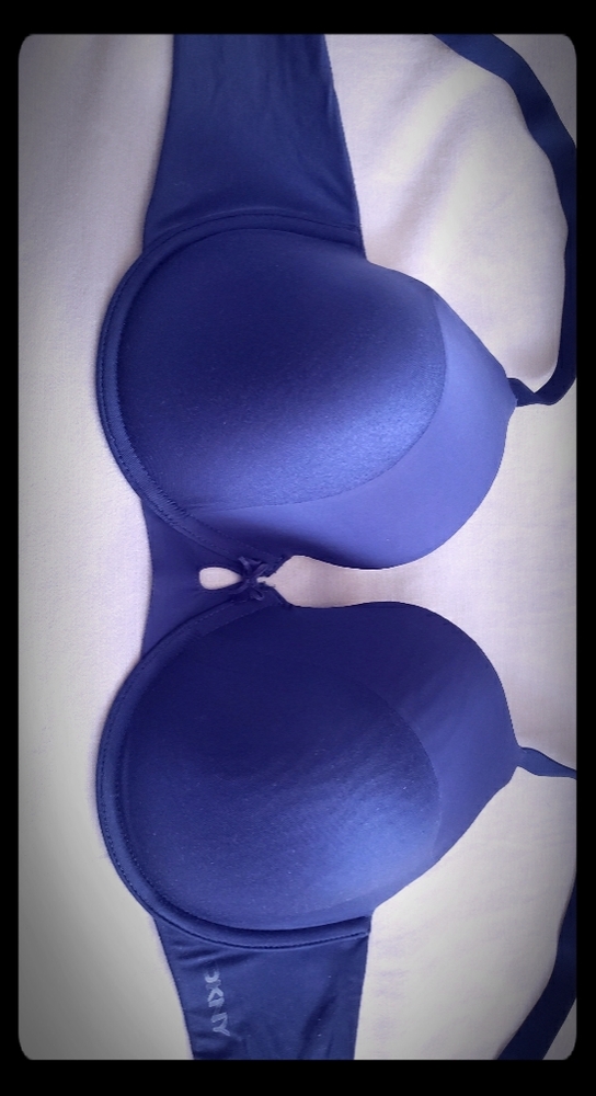 DKNY blue bra